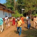 साफसफाई